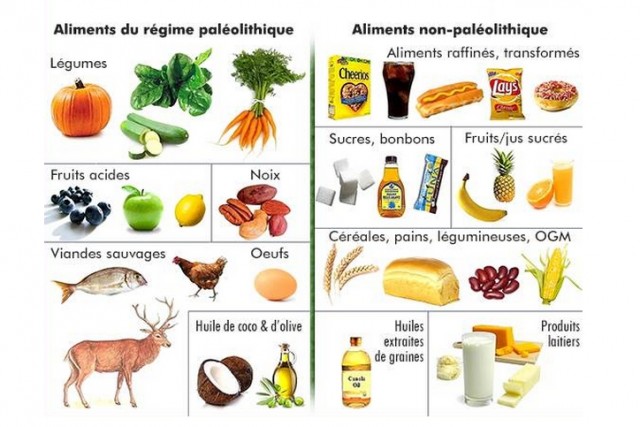 Le Régime Paléo Soigner Sa Forme Et Perdre Du Poids Newsmag 3215